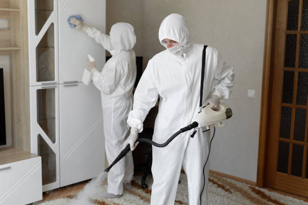 24/7 Emergency Sewage Cleanup experts in Daly City, CA